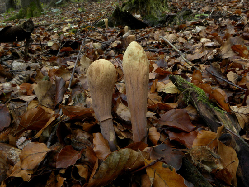 Zurück aus Oberhof ;)