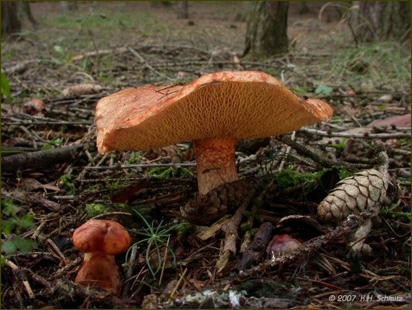 Eine Woche in Thüringen 6. Tag