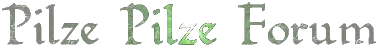 Pilze Pilze Forum