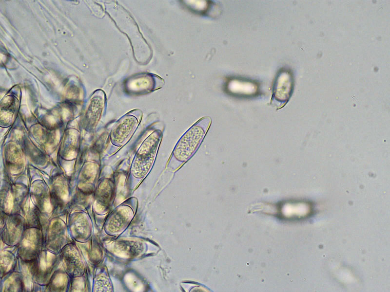 Ufa yotoqxonalarida qanday sikishlari haqida video