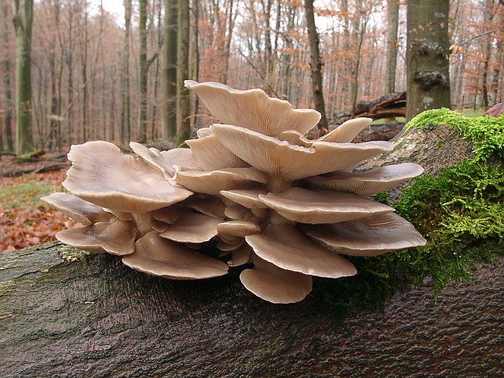 Funde von heute (10 Bilder)