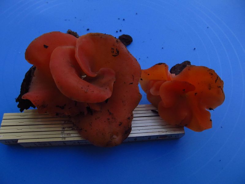 [image]