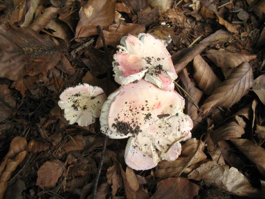 [image]