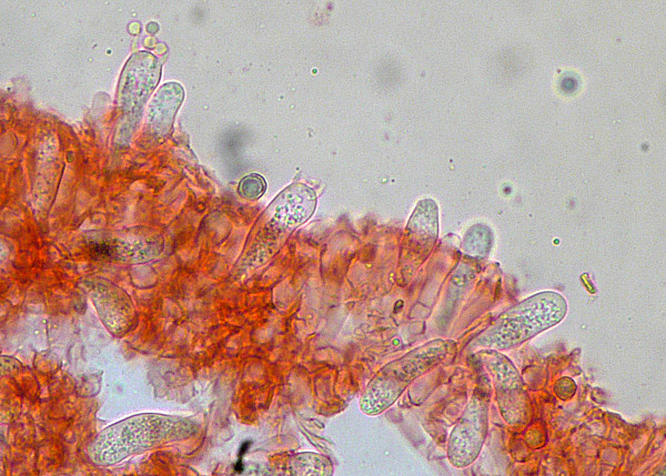 [image]