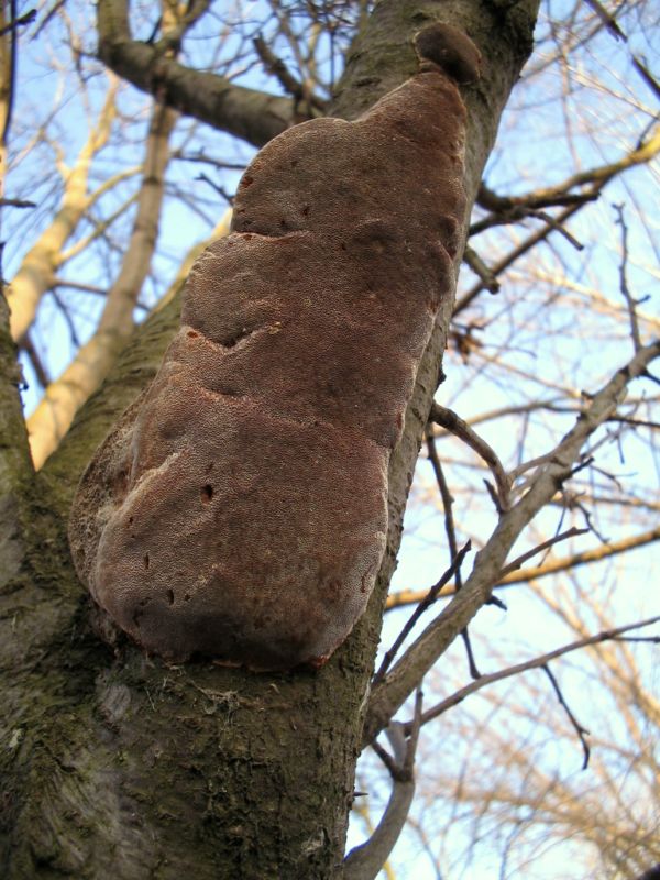 [image]