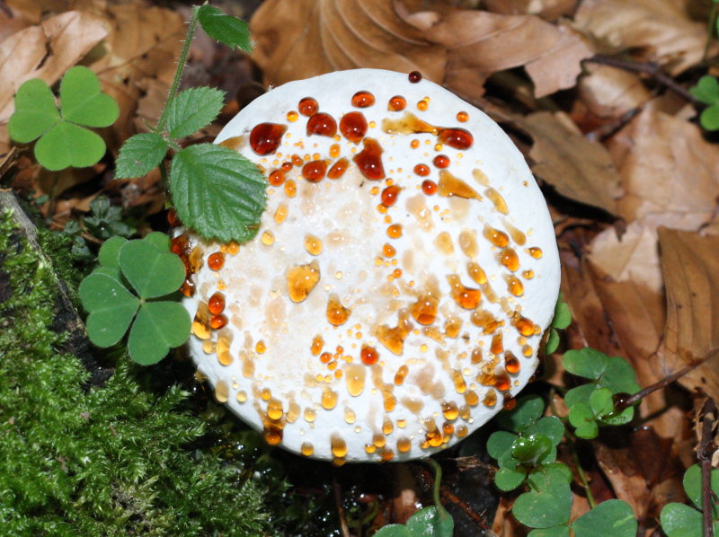 [image]
