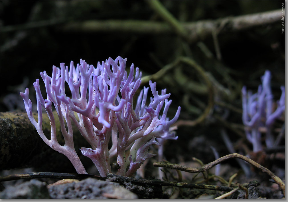 [image]
