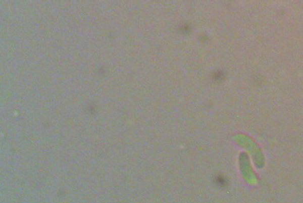 [image]