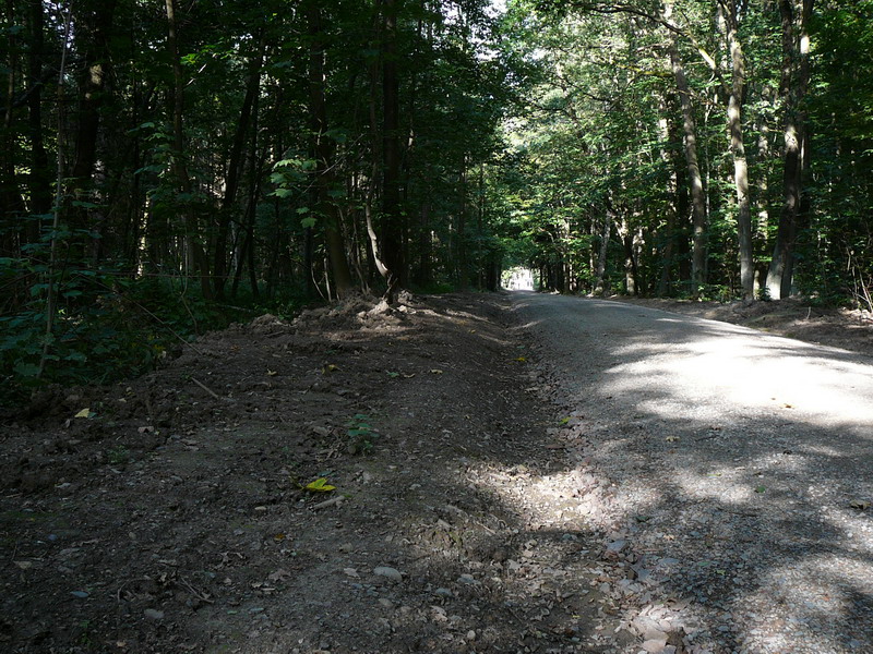 [image]