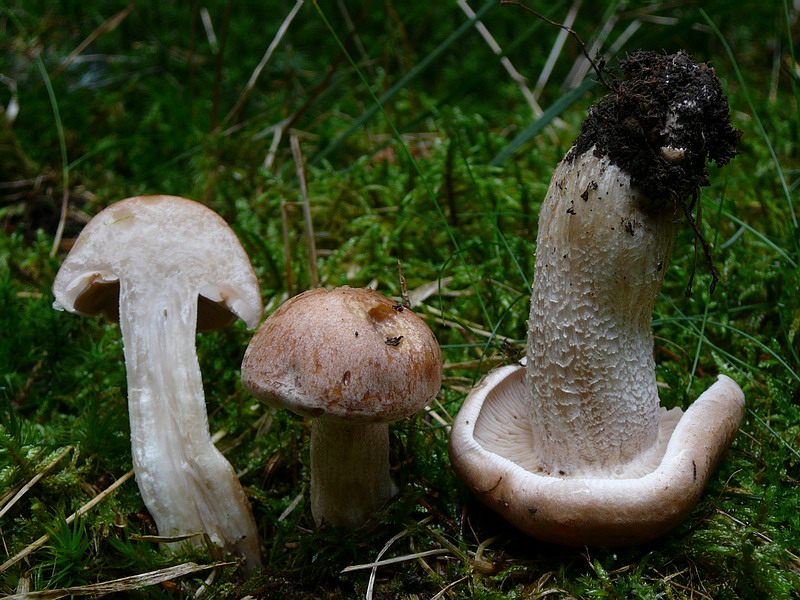 [image]