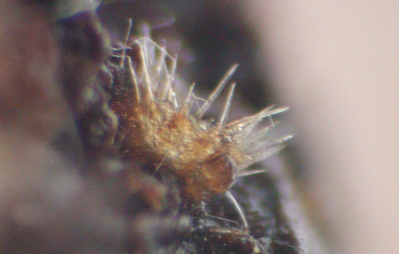 [image]