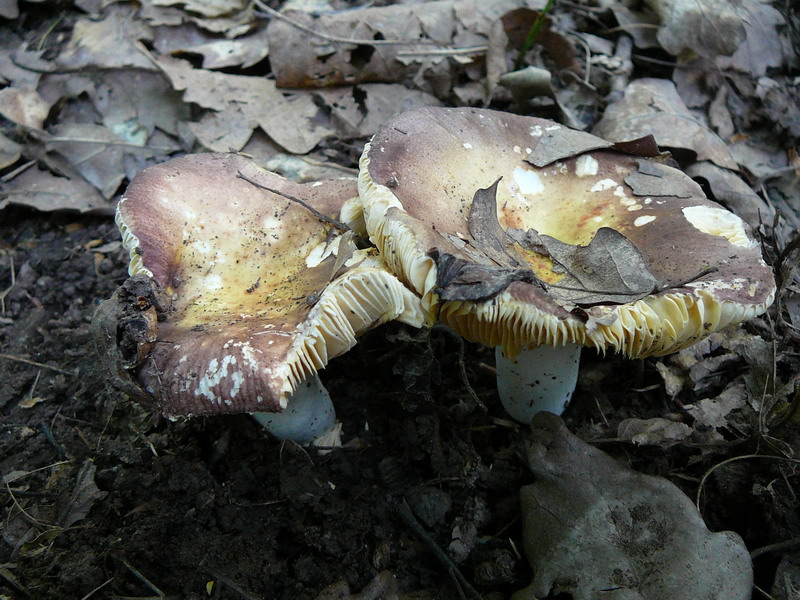 [image]