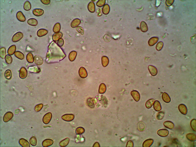 [image]