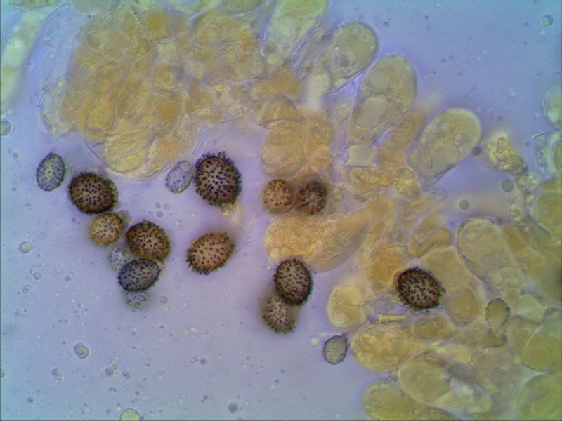 [image]