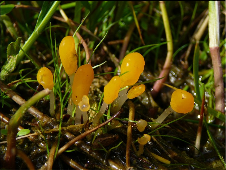 [image]