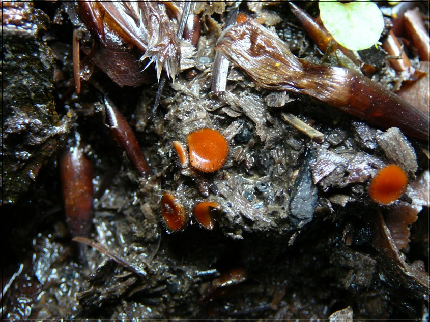 [image]