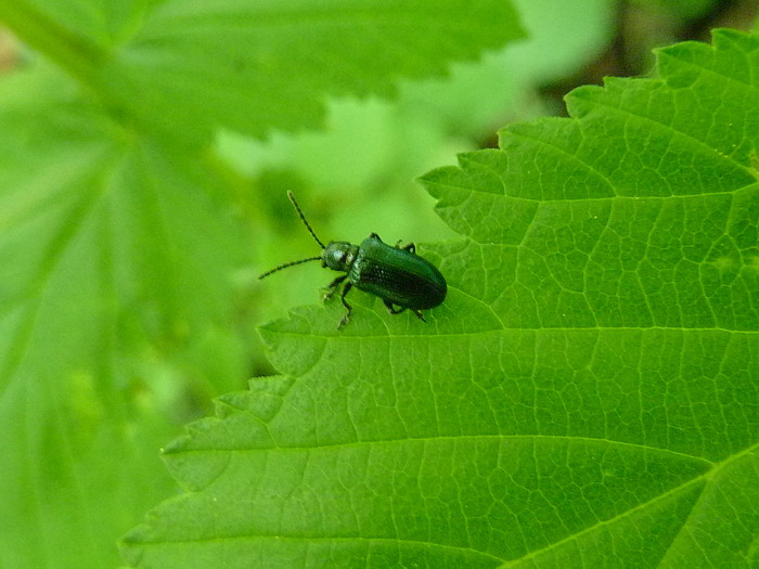 [image]