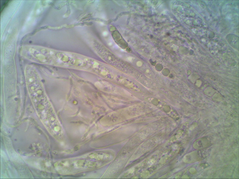 [image]