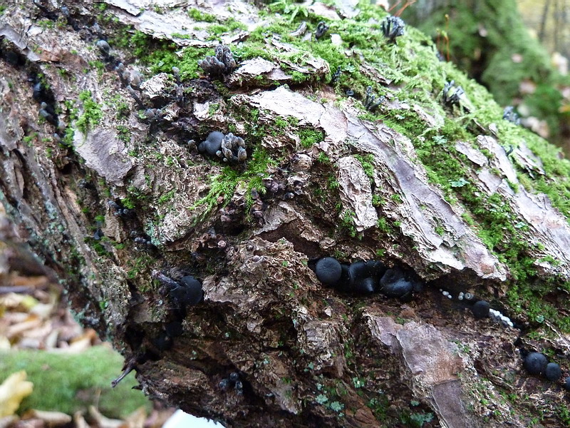 [image]