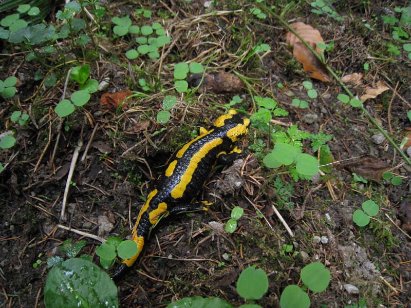 [image]