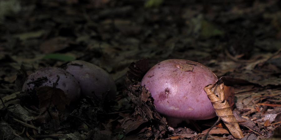 [image]