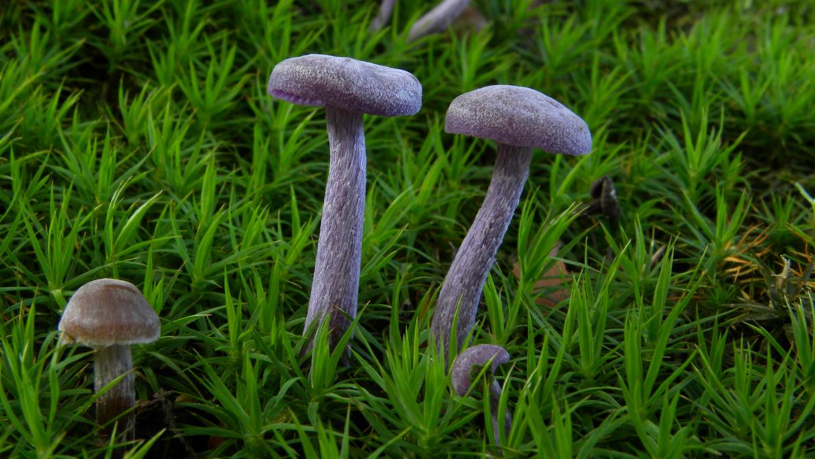 [image]