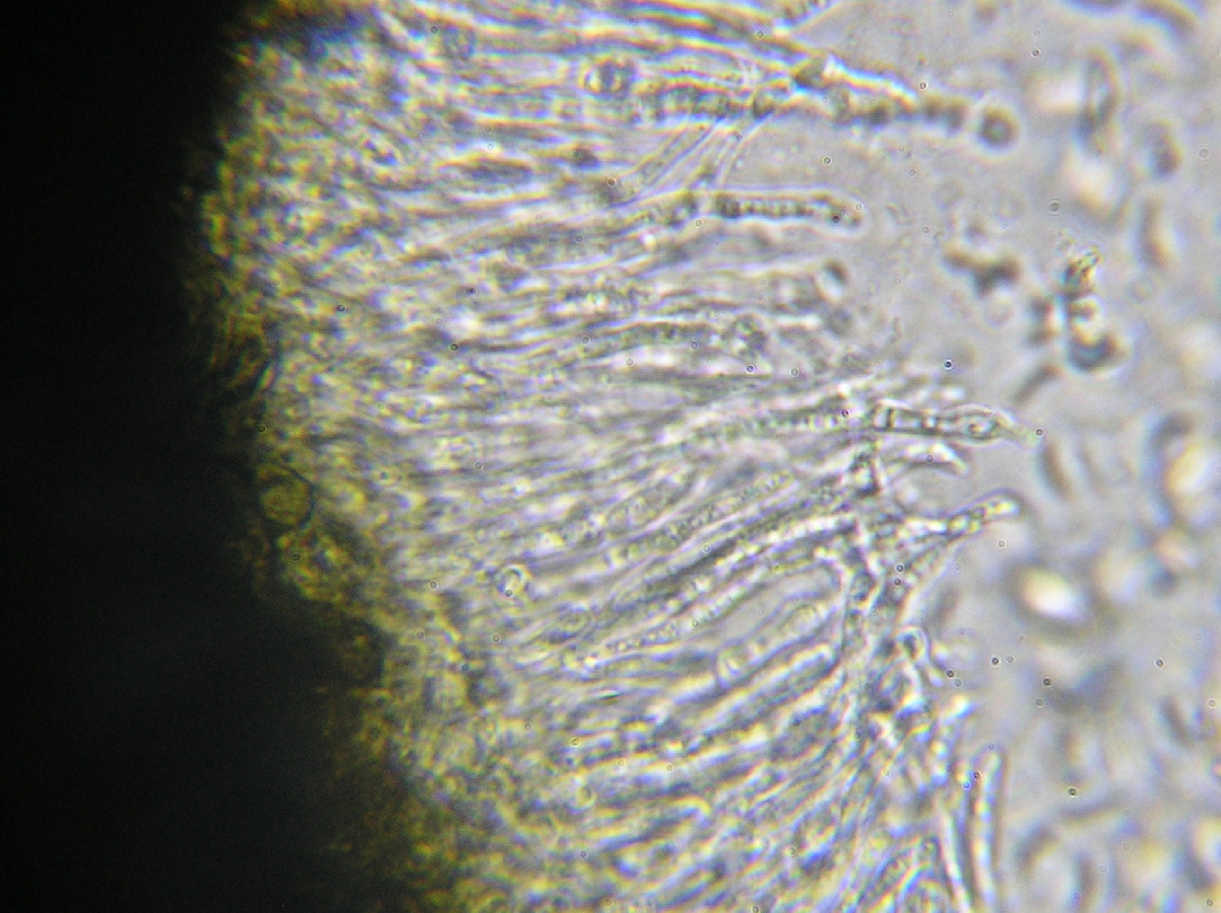 [image]