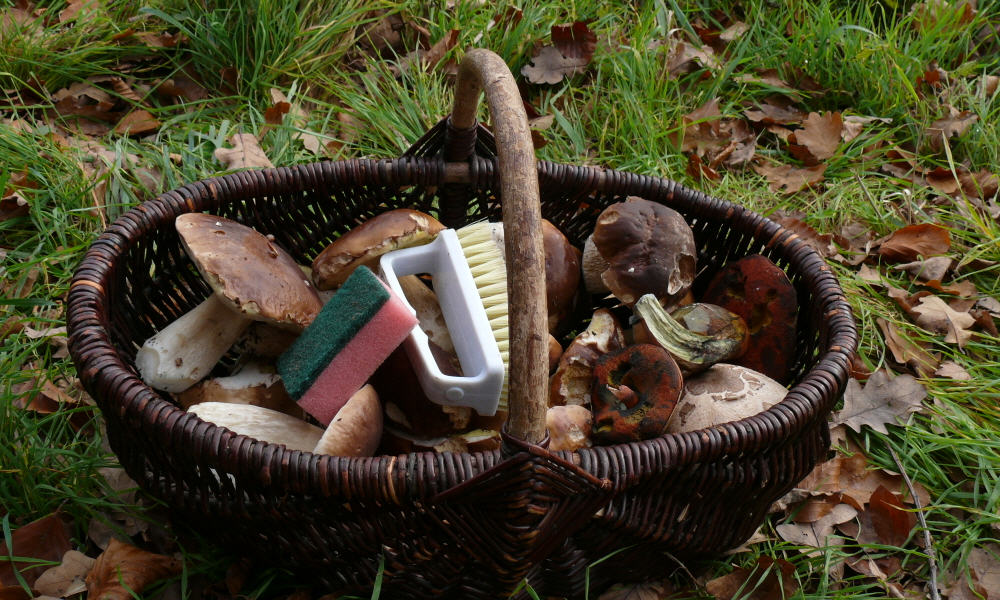 [image]