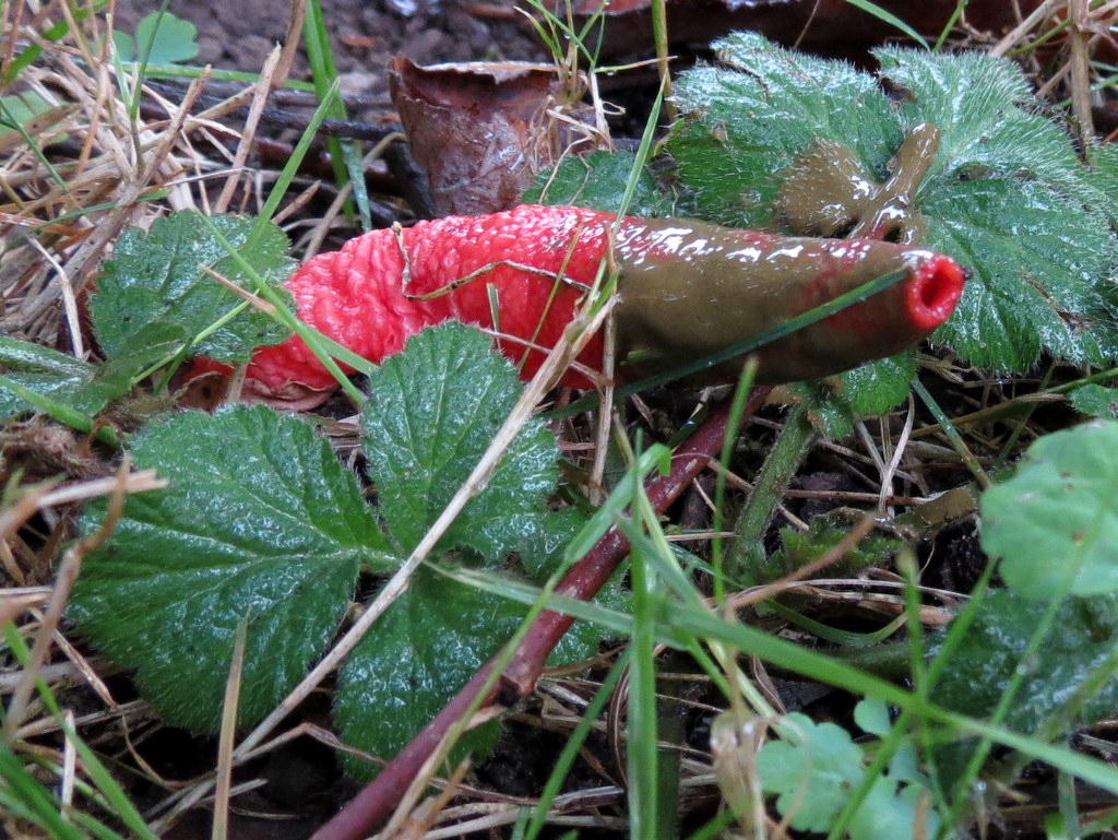 [image]
