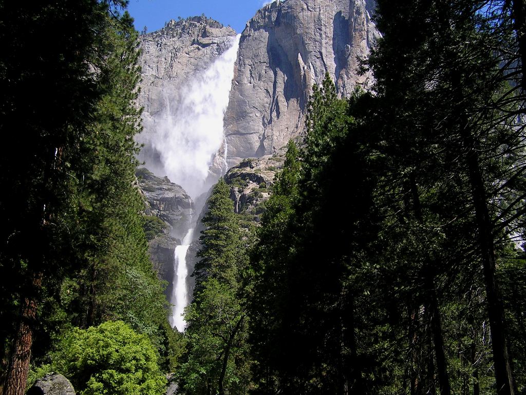 [image]