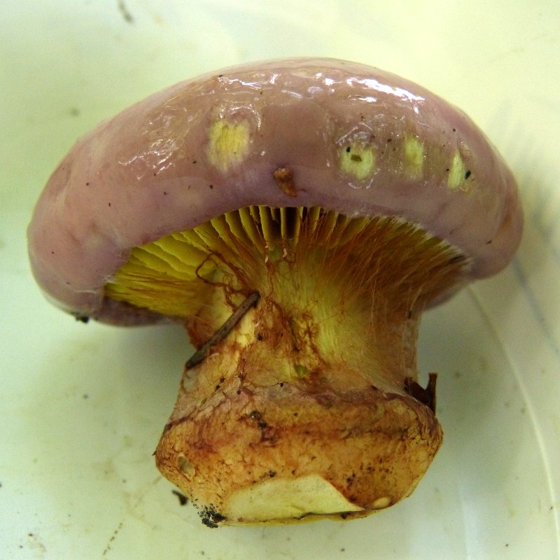 [image]