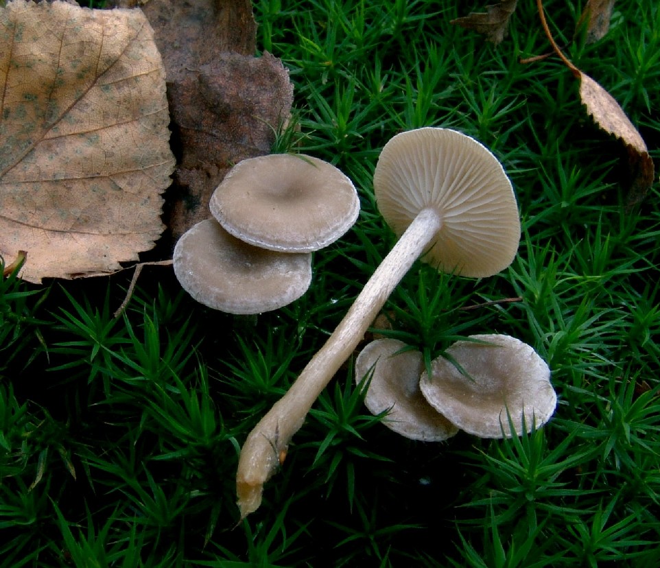 [image]