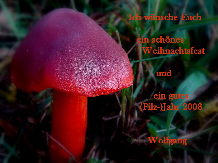 [image]