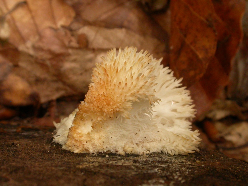[image]