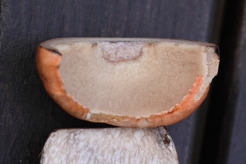 [image]