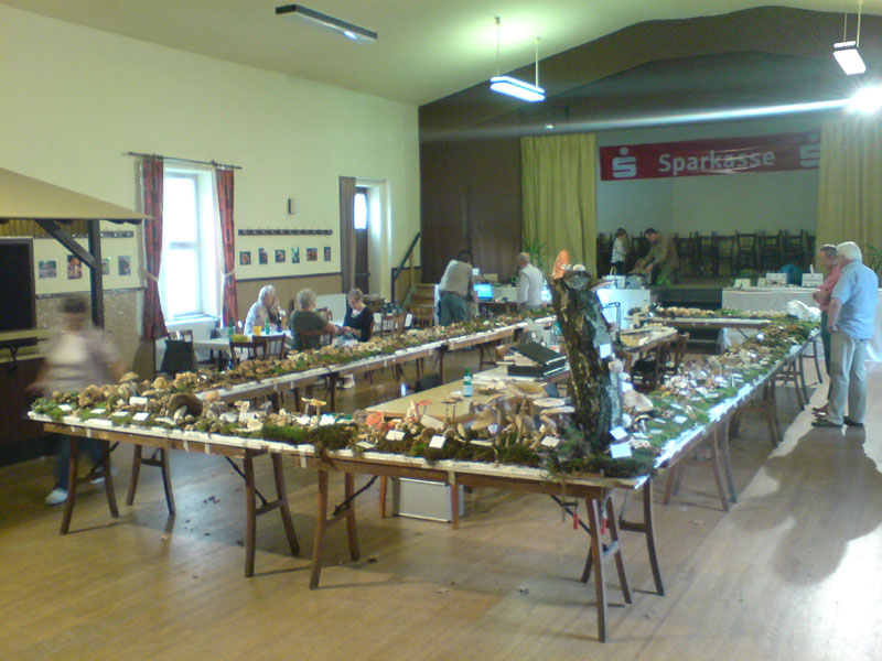 [image]