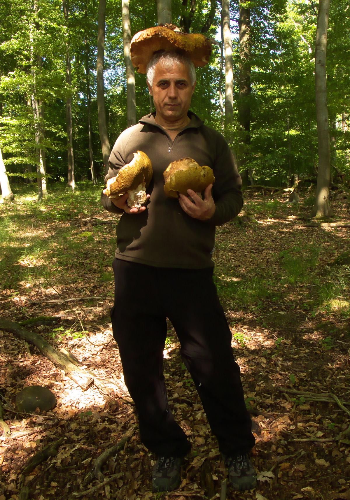 [image]