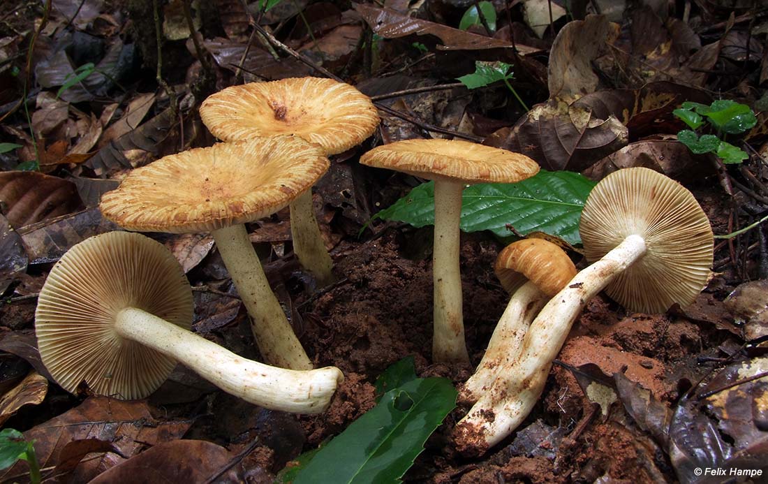 [image]
