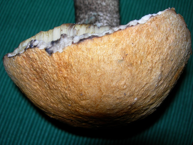 [image]