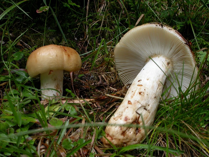 [image]