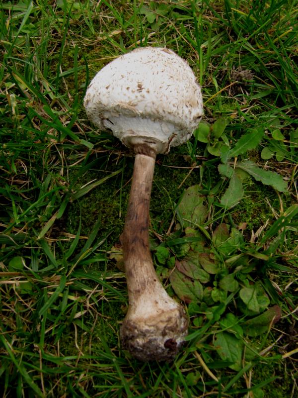 [image]