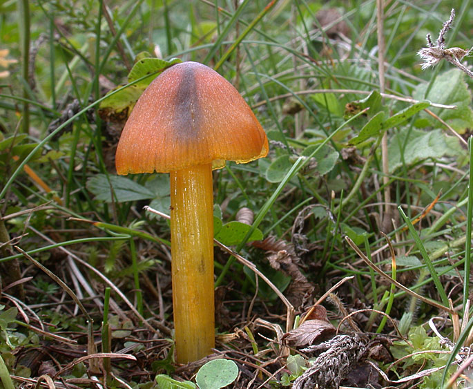 [image]