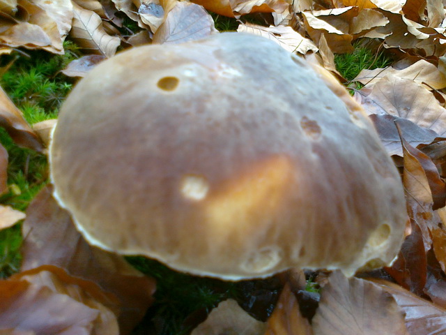 [image]