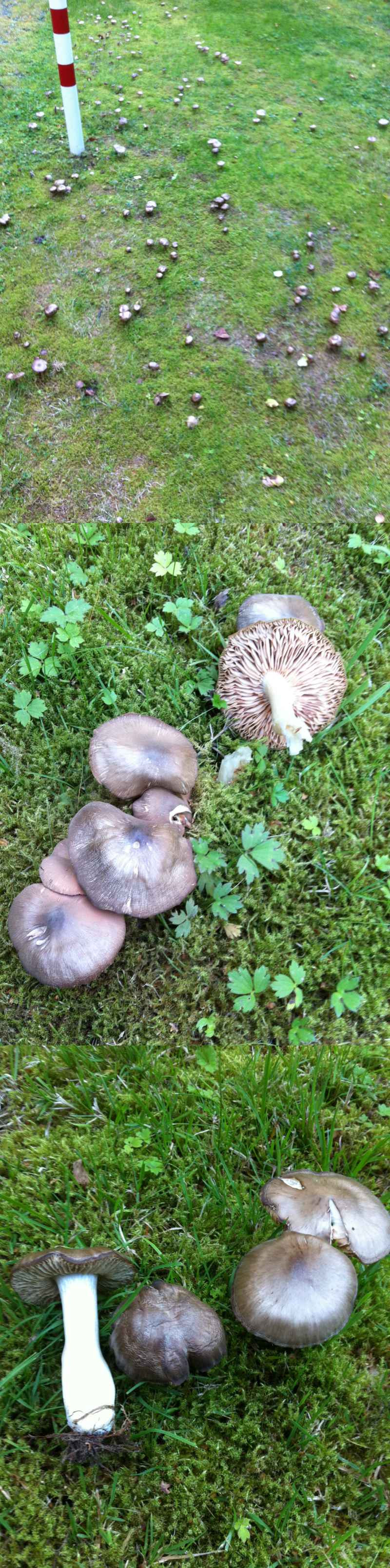 [image]