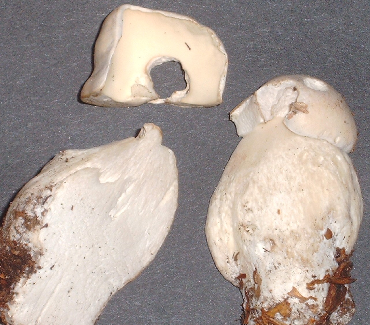 [image]