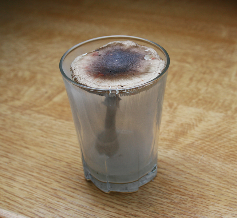 [image]