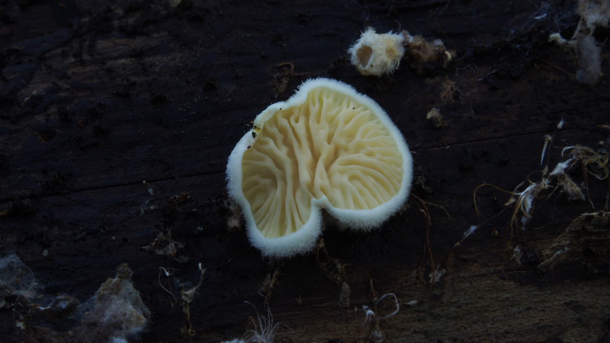[image]