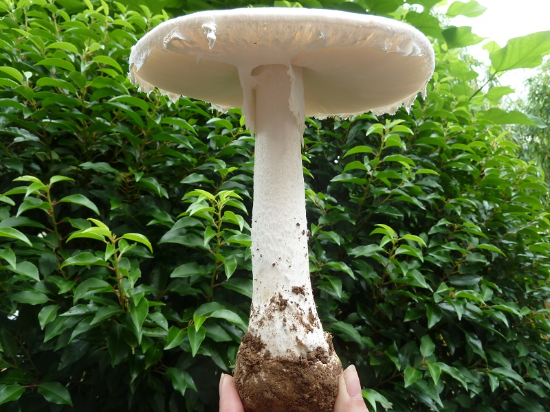 [image]