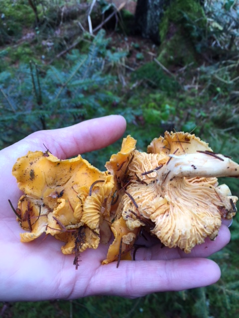 [image]