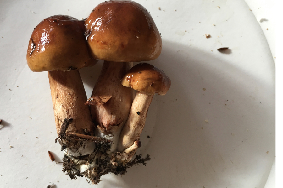 [image]